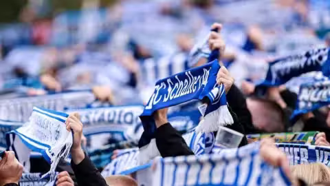 Le club de football allemand FC Schalke 04 a qualifié de "totalement injustifiables" les incidents impliquant des supporters survenus ce week-end à Dublin