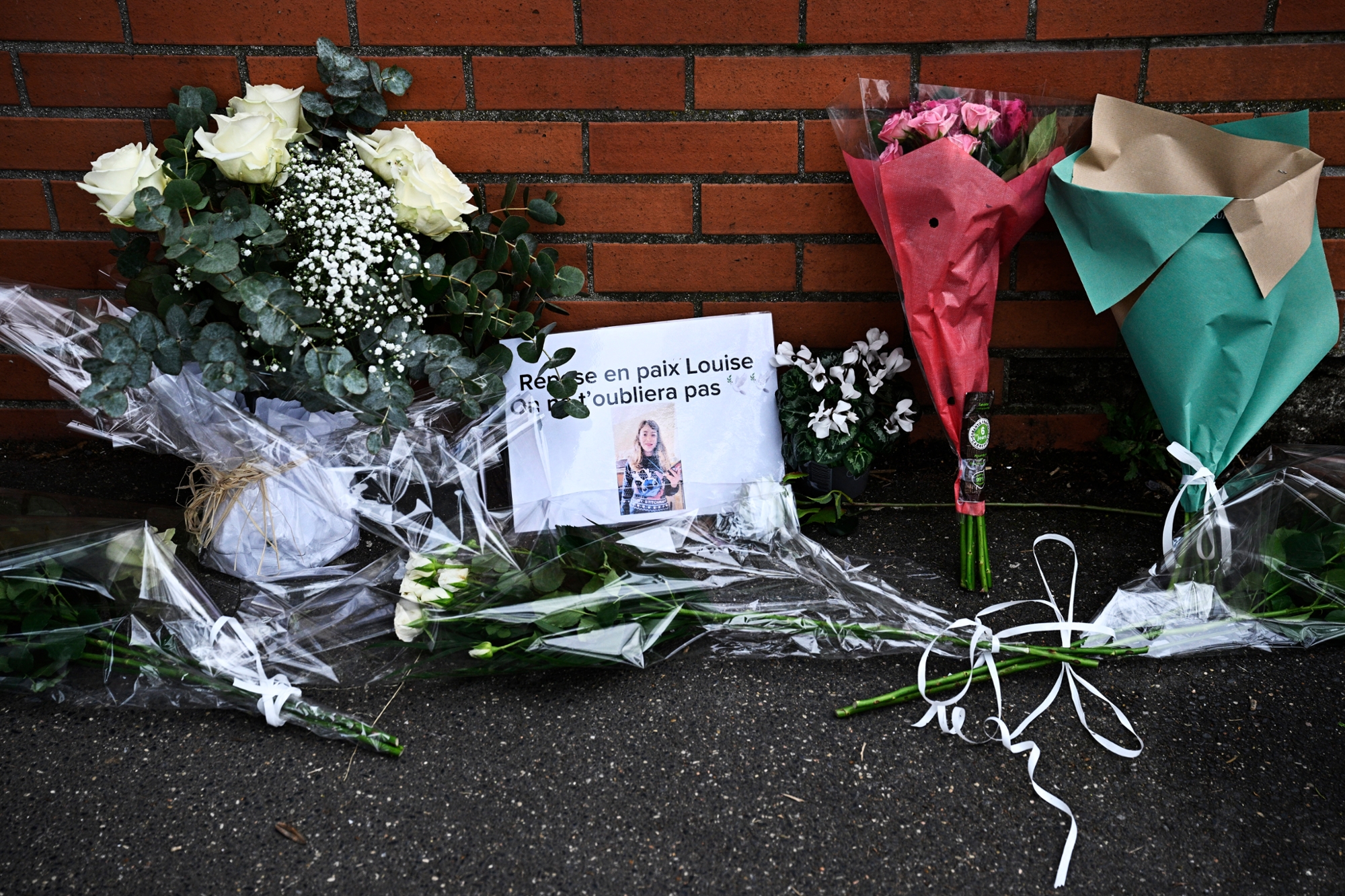 Arrestation dans l'affaire des chèvres tuées au Jardin Robinson