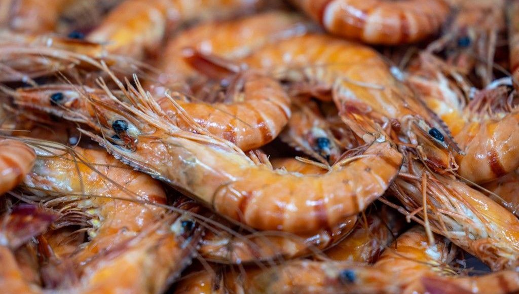 Rappel de crevettes radioactives aux États-Unis