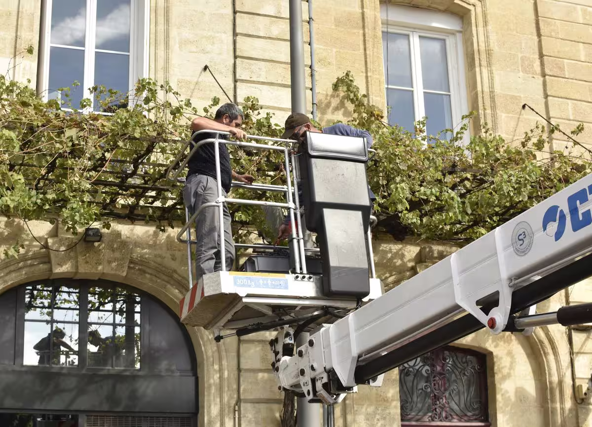 Lausanne lance une carte pour la cueillette de fruits publics