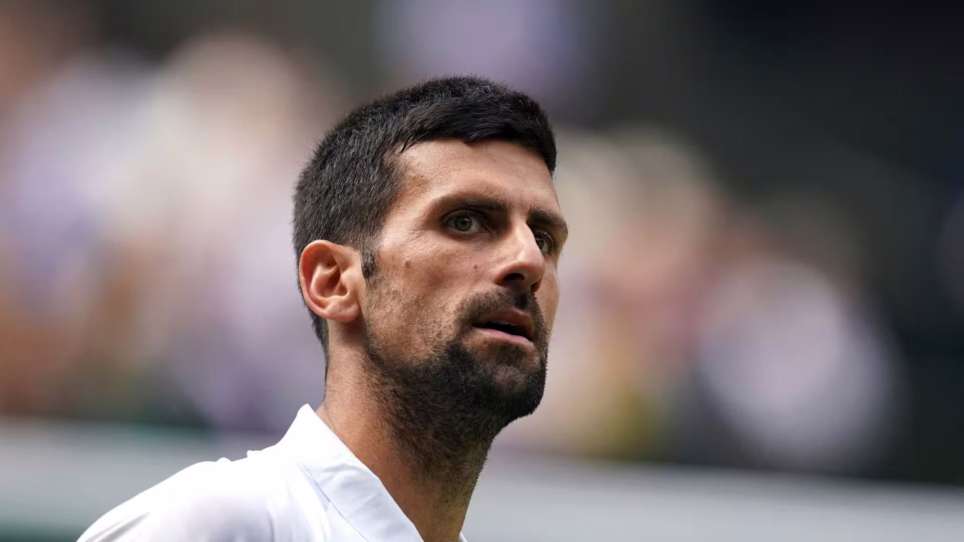 Djokovic appelle à l'unité des joueurs pour réformer le calendrier tennis