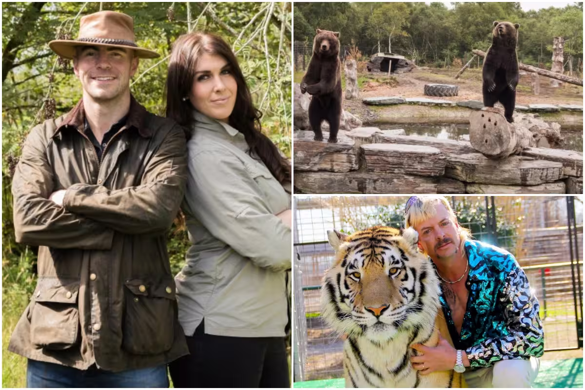 Le singe échappé est rentré sain et sauf